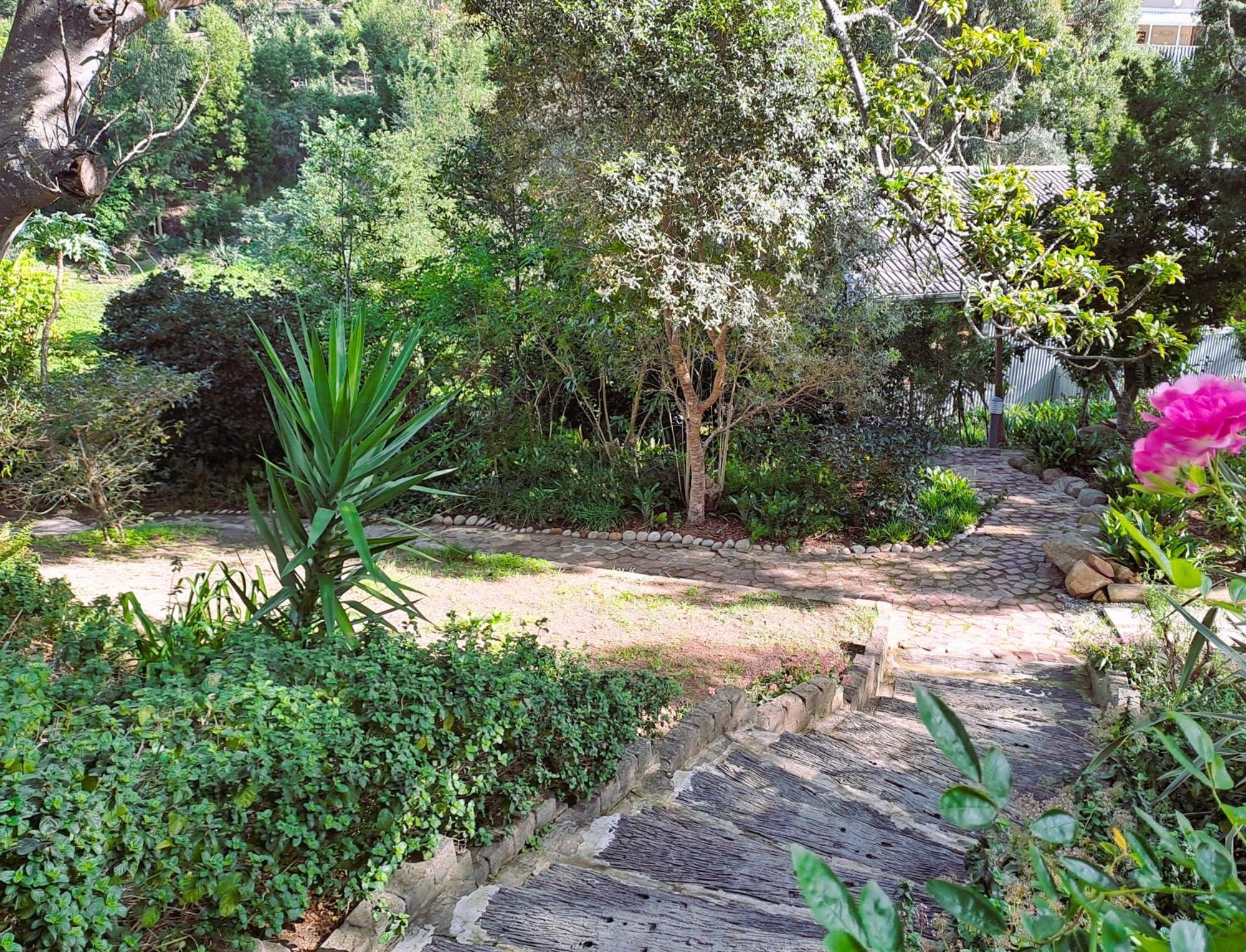 Badger'S Cottage Knysna Kültér fotó